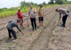 Bhabinkamtibmas-Desa-Kenongo-Bersama-Warga-Bahas-Pengembangan-Swasembada-Pangan-Mandiri