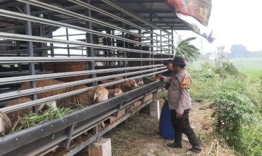 Bhabinkamtibmas-Sidomojo-Ajak-Warga-Maksimalkan-Perawatan-Ternak-Kambing-Demi-Dukung-Ketahanan-Pangan
