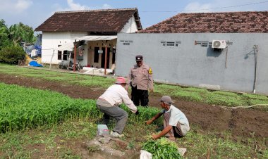 Bhabinkamtibmas-Desa-Pangkemiri-Tinjau-Lahan-P2B,-Dukung-Ketahanan-Pangan-Lewat-Budidaya-Kangkung