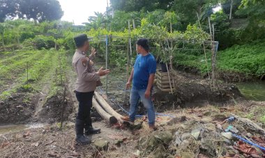 Bersaing-Wujudkan-Ketahanan-Pangan,-Warga-Taman-Sidoarjo-Kembangkan-Tanaman-Buah-Anggur