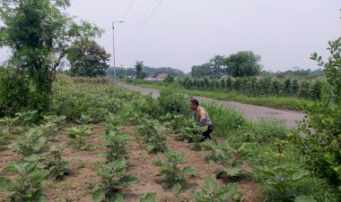 Bhabinkamtibmas-Kenongo-Cek-Lahan-Ketahanan-Pangan-Peternakan-Unggas-Dukung-Program-Asta-Cita-Presiden