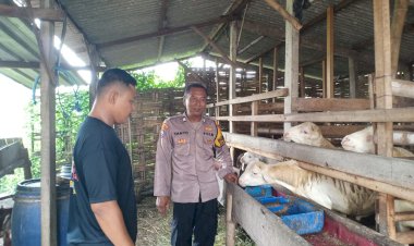 Bhabinkamtibmas-Desa-Medalem-Polsek-Tulangan-Dampingi-Pendataan-Kendala-Program-P2B-untuk-Peternakan-Kambing