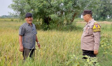 Tanah-Desa-Kragan-Dimanfaatkan-untuk-Ketahanan-Pangan,-Kapolsek-Gedangan-Turunkan-Bhabinkamtibmas-Untuk-Pendampingan