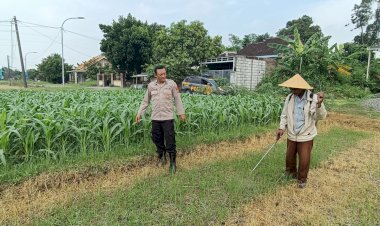 Polsek-Tarik-Gelar-Patroli-Ketahanan-Pangan-dan-Dialogis-Bersama-Petani-Jagung