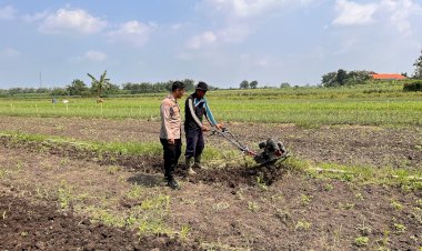 Kanit-Binmas-Polsek-Krembung-Dampingi-Petani-Garap-Lahan-Ketahanan-Pangan