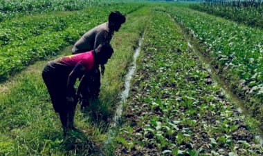 Polisi-Tinjau-Lahan-Pertanian,-Dukung-Program-Ketahanan-Pangan-Asta-Cita-Presiden-Prabowo