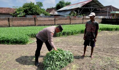 Bhabinkamtibmas-Tulangan-Dampingi-Warga-Kelola-Pekarangan-Bergizi-untuk-Swasembada-Pangan