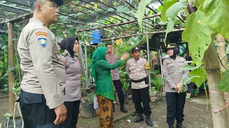 Bhabinkamtibmas Kepuh Kiriman Dampingi Ibu PKK Kelola Tanaman Terong, Dukung Ketahanan Pangan Desa