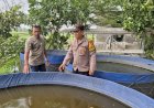 Bhabinkamtibmas-Tanjungsari-Dukung-Warga-Budidaya-Lele-untuk-Swasembada-Pangan-Mandiri