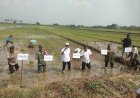 Tiga-Pilar-di-Sidoarjo-Kompak-Dukung-Ketahanan-Pangan-Nasional-Lewat-Penanaman-Padi-Serentak