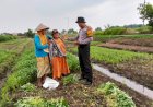 Upaya-Ketahanan-Pangan,-Polisi-Bantu-Petani-di-Balongbendo-Kelola-Lahan-Tidur-Jadi-Lebih-Produktif