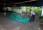 Berantas-Perjudian-Polisi-Bongkar-Arena-Sabung-Ayam-di-Nganjuk