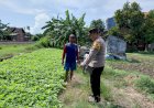 Motivasi-Ketahanan-Pangan,-Polisi-Cek-Perkembangan-Lahan-Sayur-di-Desa-Pangkemiri