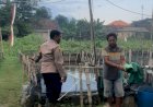 Polisi-Sidoarjo-Dukung-Ketahanan-Pangan-Desa-Gempolsari-dengan-Budidaya-Ikan-Nila