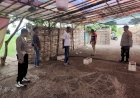 Polsek-Tulangan-Turun-Langsung-ke-Lokasi-Diduga-Tempat-Sabung-Ayam