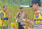 Polres-Ponorogo-Sahabat-Petani,--Warga-Wujudkan-Swasembada-Pangan