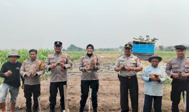 Polresta-Sidoarjo-Ajak-Warga-Budidayakan-Uwi-Ungu,-Dukung-Ketahanan-Pangan-dan-Green-Policing