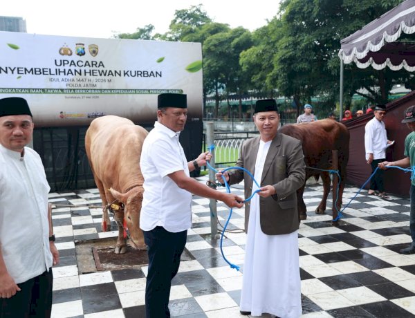 Iduladha 1447 H Polda Jatim Salurkan Ratusan Hewan Kurban untuk Masyarakat