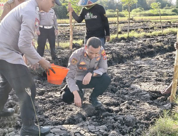 Kapolsek Wonoayu bersama Gapoktan Tanam Jagung Kuartal II, Dukung Swasembada Pangan Nasional