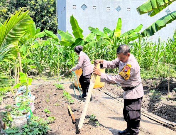 Optimalkan Program Ketahanan Pangan, Polsek Waru Optimis Tanam Jagung Berhasil