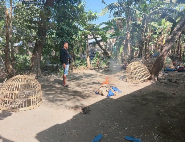 Respons Cepat Aduan Warga, Polres Nganjuk Bongkar Dua Lokasi Sabung Ayam